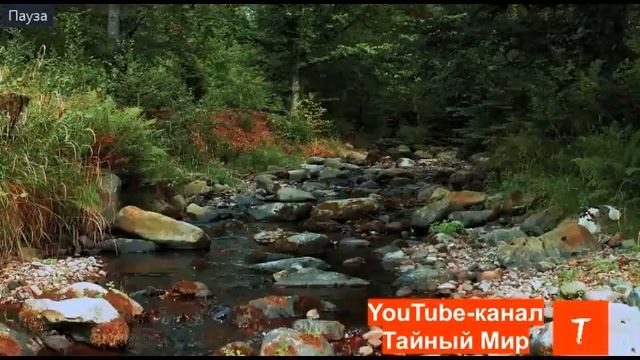 Продление жизни. МИФ ИЛИ РЕАЛЬНОСТЬ. смотреть онлайн