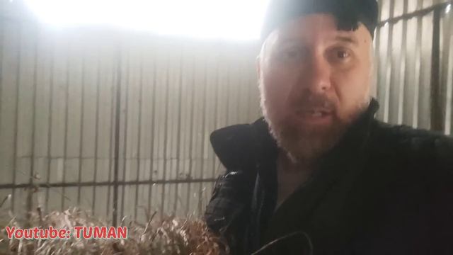 первый день работы с Кабылкой. с Чего начинать работу Жеребенком. смотреть онлайн