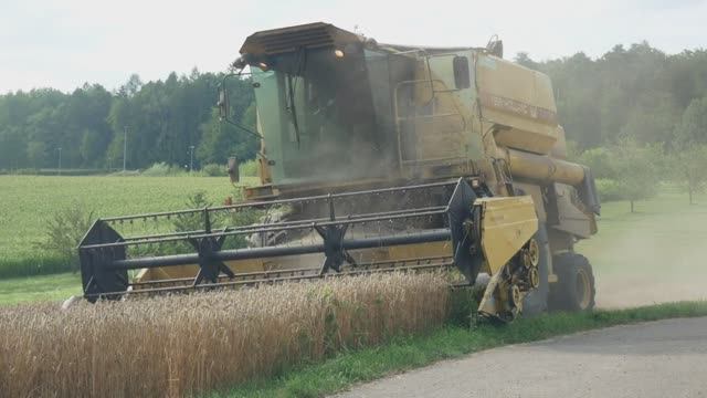 Комбайн убирает рисовое поле