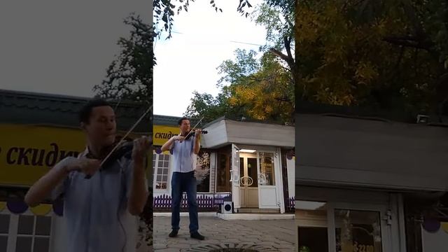 Кафе Милена на Володарского 25 смотреть онлайн