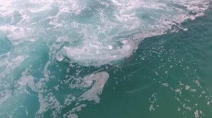 Акулы. Sharks. Израиль. Средиземное море. 4 февраля 2017.