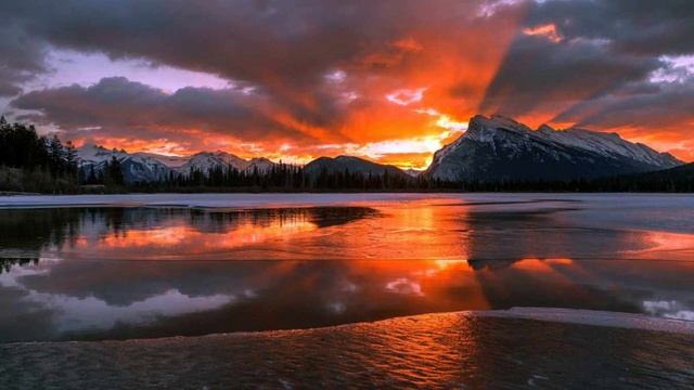 *ALL NEW* 25 PROMOCODES FOR (RBLX.LAND,CLAIMRBX,RBXGUM,RBLX.EARTH,BLOX.LAND) *MARCH 2022* смотреть онлайн