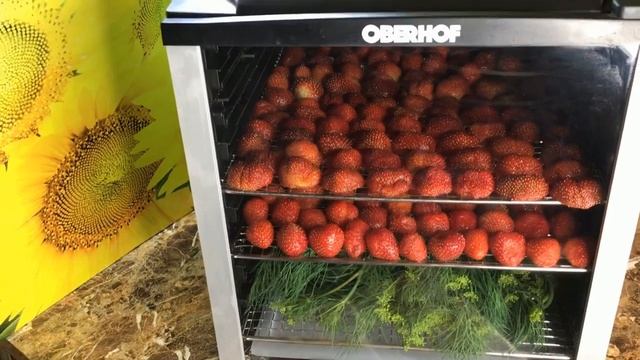 Клубника сушеная. Заготовки на зиму. смотреть онлайн