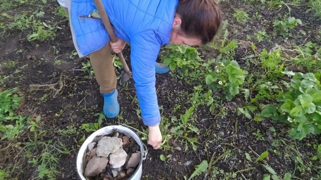 ЗНАЛ БЫ, НЕ УБИРАЛСЯ / ПОТОЛОК ПРОВИС / ПОЧЕМУ БАЛАЛАЙКА / САМ СЕБЯ УСПОКАИВАЛ смотреть онлайн