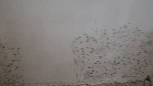 #Влог 19.06.2022 Покупки из Спортмастера | Приняли баню ) смотреть онлайн