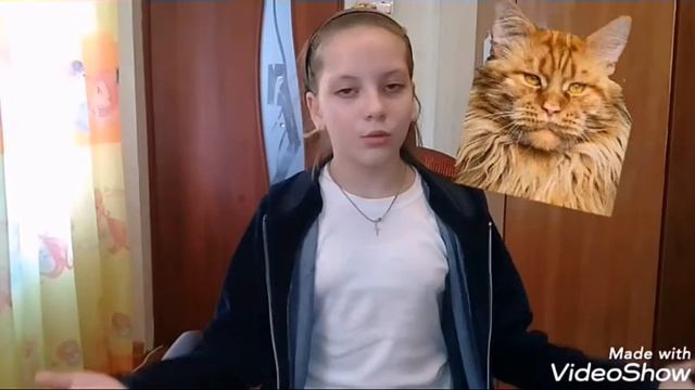 Описание ротвейлера и мейн куна смотреть онлайн