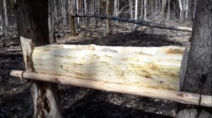 Солонец для лося и косули из осины, делаем корыто для соли из бревна