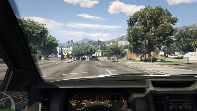 Grand Theft Auto V Миссия 7 Семейная консультация