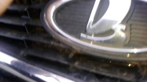 ВИДЕО: Как открыть капот в ЛАДА ПРИОРА (LADA PRIORA) правильно своими руками?