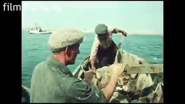 Аральское море, 1963 год смотреть онлайн