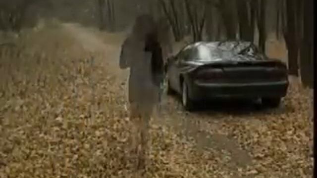 XADO krasota.avi смотреть онлайн