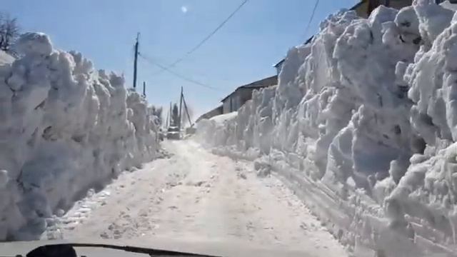 27 марта г.Змеиногорск ул.волкова смотреть онлайн