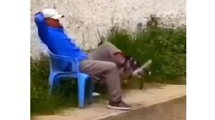 было весело смотреть онлайн