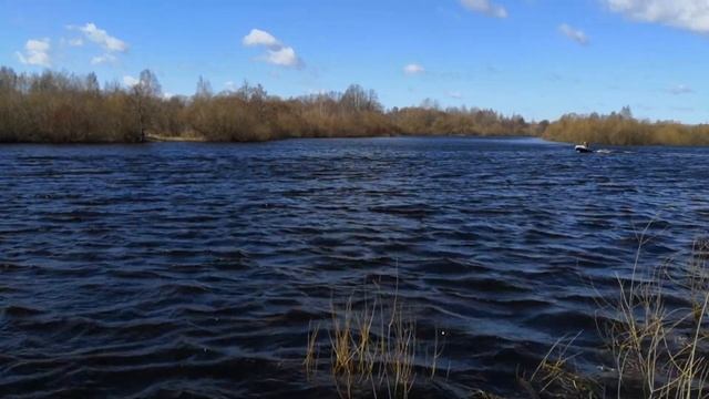 Лодка STELS 315  мотор Mercury 5. 4т