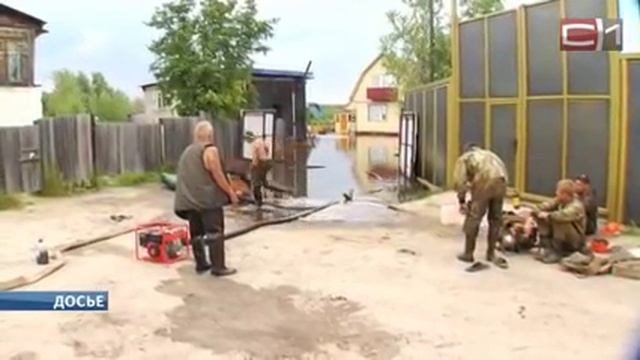 В Нефтеюганске на затопленных дачах утонул пенсионер. смотреть онлайн