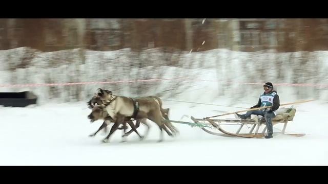 43-й Мурманский Лыжный Марафон 50 км