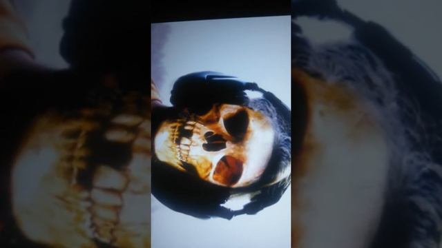 Rep смотреть онлайн