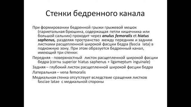 Строение бедренного канала. смотреть онлайн
