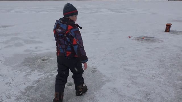 МЕСТНЫЙ МУЖИК РЫБАК НАС ОБЛОВИЛ! КРУПНЫЕ МОНСТРЫ! Зимняя рыбалка со льда! смотреть онлайн