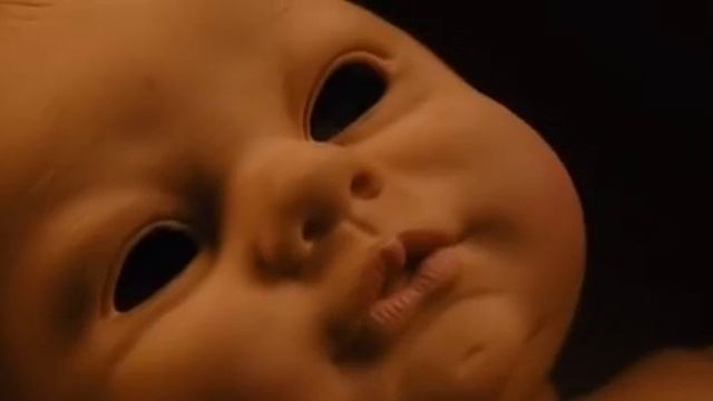 Черное рождество 2006