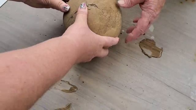 Breaking open Grandma's sandstone rock from 45 years ago *FOSSIL INSIDE* смотреть онлайн