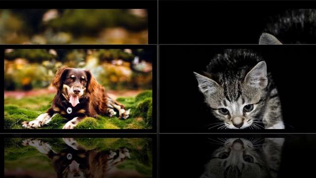 Ну очень красивая песня смотреть онлайн