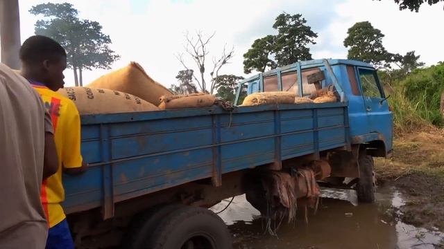 The secret filth behind cocoa production in Ivory Coast смотреть онлайн