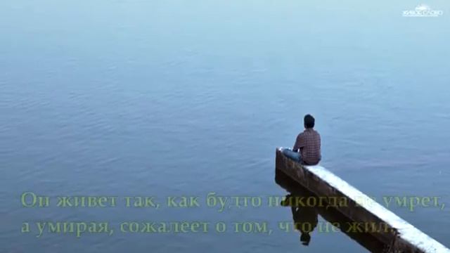 Жизнь на самом деле такая смотреть онлайн