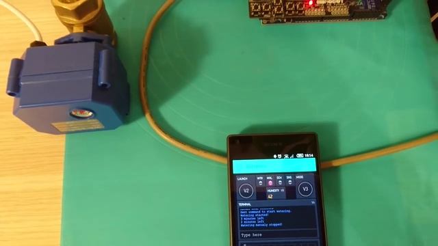Автополив с использованием ESP8266 и Blynk