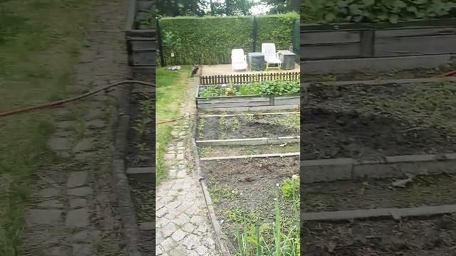 Дача в Германии | Анна в Германии смотреть онлайн