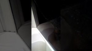 Как отмыть акриловый поддон, кафель и душевую кабинку без химии.