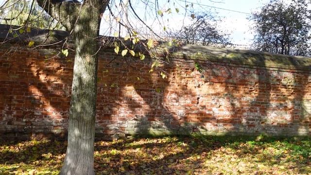 Дмитровск. Древние города России сегодня. Орловская область смотреть онлайн