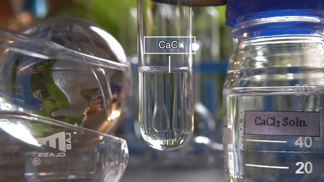 What happens when Calcium chloride (CaCl2) reacts with potassium hydroxide (KOH)? | CaCl2 + KOH смотреть онлайн