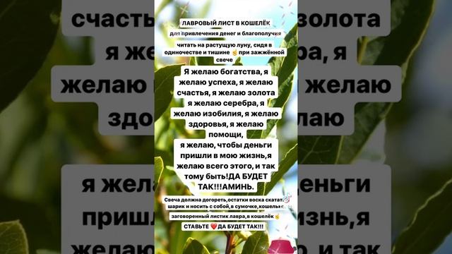 ДЕНЕЖНЫЙ КОШЕЛЕК #лавровыйлист #деньги #хочуврекомедации #заговоры #хочувтопы #топчик смотреть онлайн