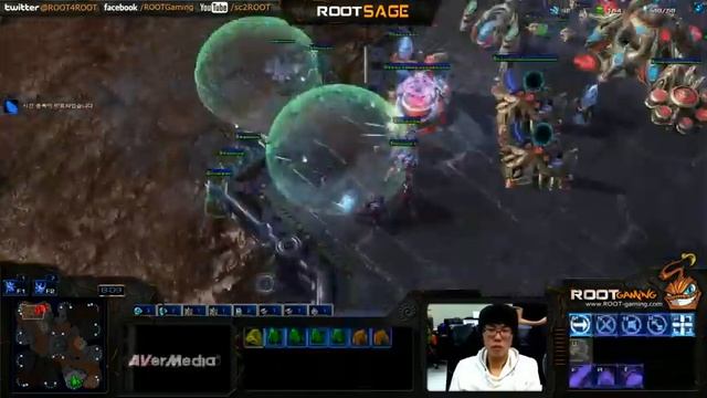 ROOT Sage's 2 Gate Oracle Harass смотреть онлайн