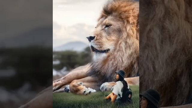 Делюсь интересным видео. смотреть онлайн