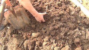 ПОДГОТОВКА ГРУНТА (ПОЧВЫ) ДЛЯ ТОМАТОВ В ТЕПЛИЦЕ!