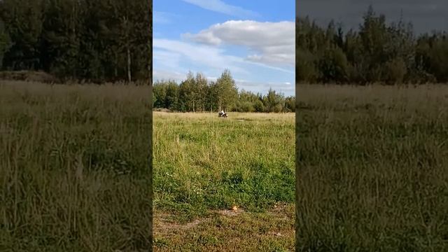 Ах, лето! Я скучаю по хрюне cb-400 смотреть онлайн