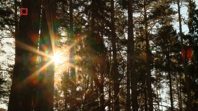 Окончание эфира Удмуртия (17.04.2023) смотреть онлайн