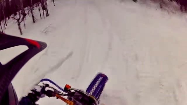 CRM250AR, 2 KTM, 2 WR450 and Pitbike ride in russian forest смотреть онлайн