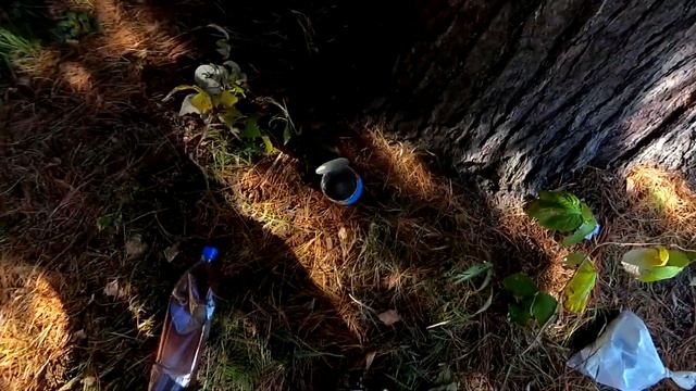 Закрытие водометного сезона. Рыбалка в 2017. Архив. (Часть 3) смотреть онлайн