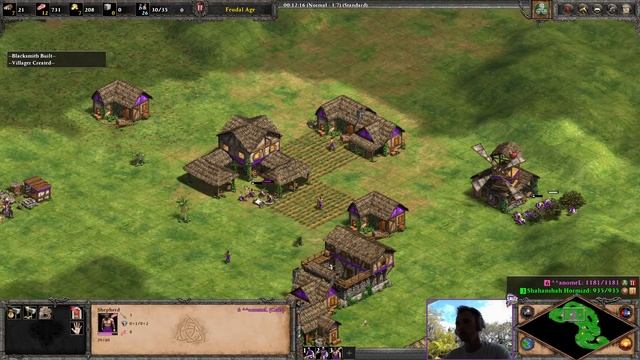 КАК ПРАВИЛЬНО КУШАТЬ ТЦ | Винча разбирает билд Хоанга в Age Of Empires 2