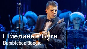 Шмелиные Буги (К. Захарато - балалайка)