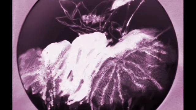 Glazunov-Les Sylphides,Tarantelle смотреть онлайн