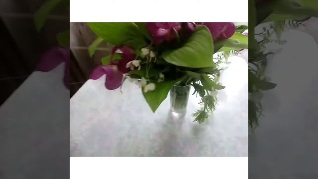 Суп куринный.Отбивная из свинины вкусно.Минтай жареный.Потрошки.Полная беседка цветов.Рабочие будни