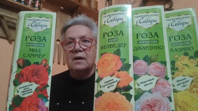 388. Когда и как обрезать и чем укрыть розу. смотреть онлайн