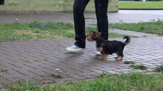 MVI 8072 смотреть онлайн