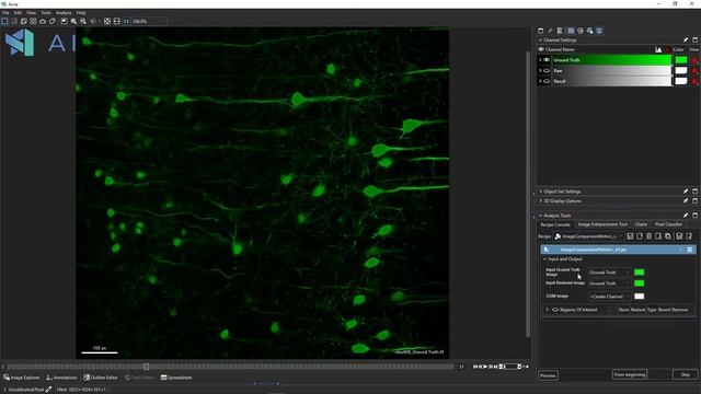 Apply pre-trained deep learning model in Aivia 8.8 and run image diagnostics python code смотреть онлайн