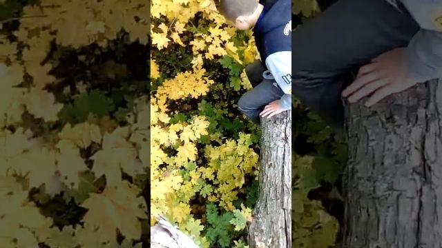 Наступил на теже грабли ??? смотреть онлайн