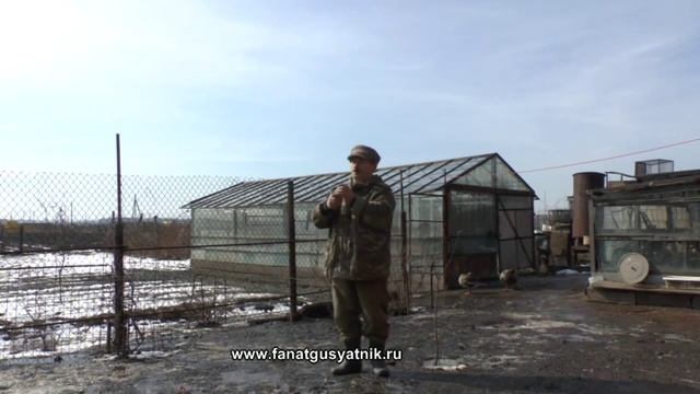 Духовые манки SchoolHunter на гуся